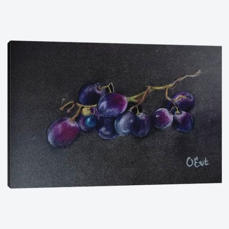 Sicilian Black Grapes Canvas Print #OEV55} by Oksana Evteeva Canvas Artwork