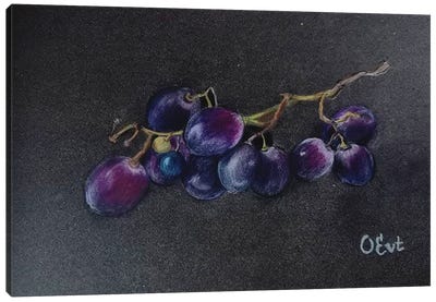 Sicilian Black Grapes Canvas Art Print - Oksana Evteeva