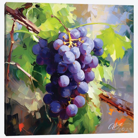 Sicilian Grape Serenade Canvas Print #OEV65} by Oksana Evteeva Canvas Art Print