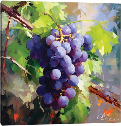 Sicilian Grape Serenade Canvas Art Print - Oksana Evteeva