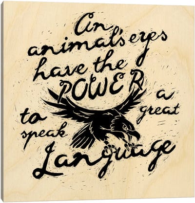 Animal's Eyes Have The Power Canvas Art Print - Eagle Art
