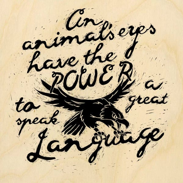 Animal Rights: Animal's Eyes Have The Power by 5by5collective