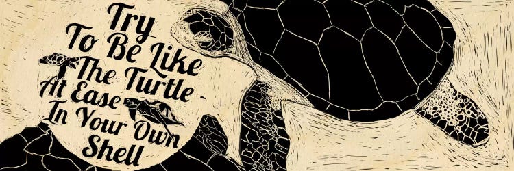 Be Like A Turtle by 5by5collective wall art
