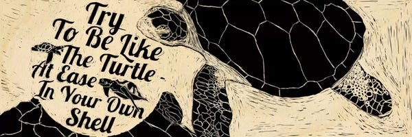 Turtles: Be Like A Turtle by 5by5collective