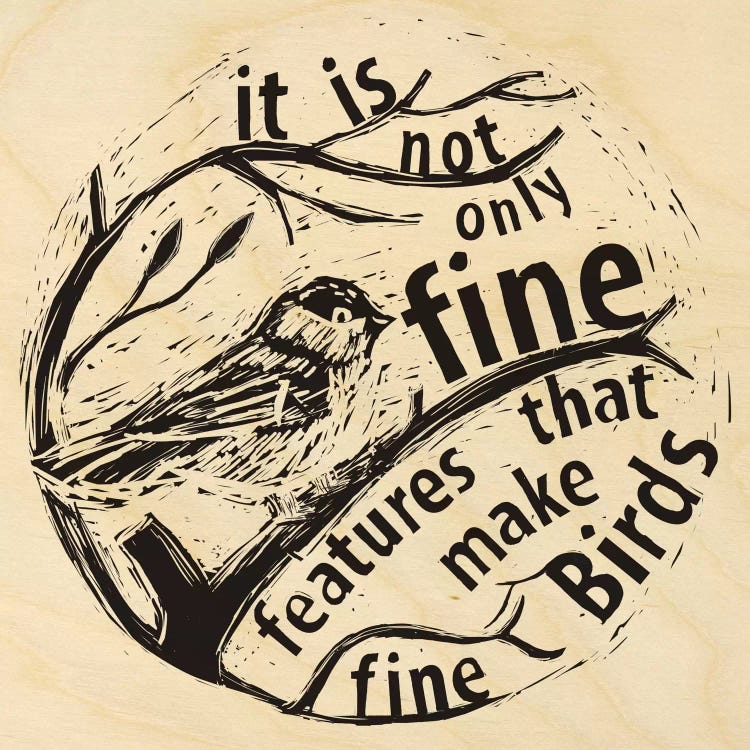 Fine Features Make Fine Birds by 5by5collective wall art