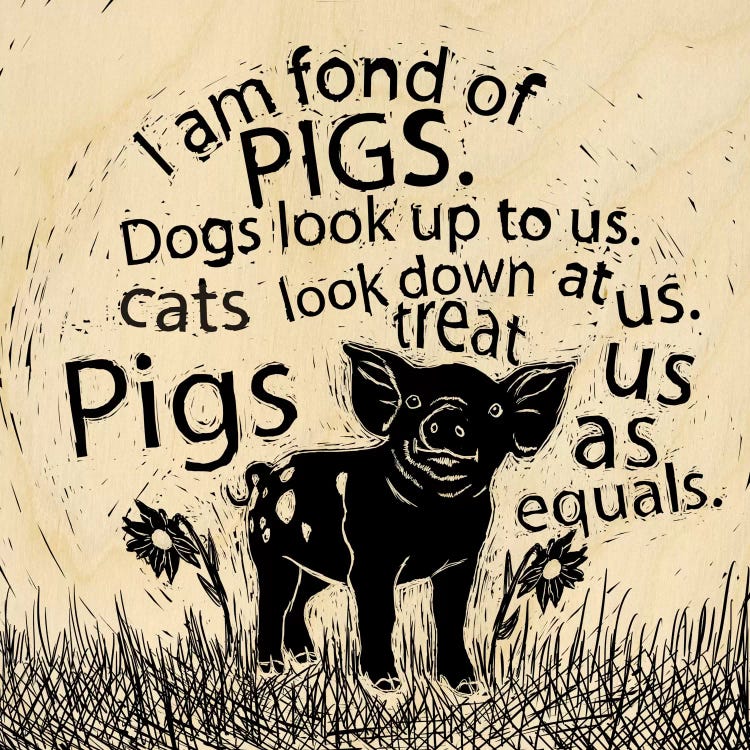 I Am Fond Of Pigs