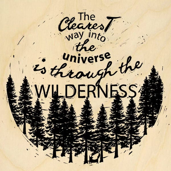 Environmental Conservation: Is Through The Wilderness by 5by5collective