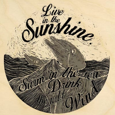 Live In The Sunshine by 5by5collective canvas print