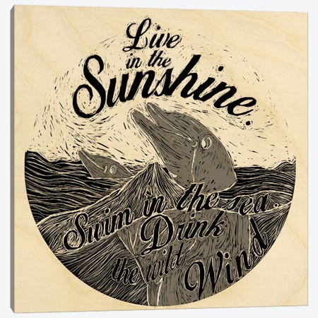 Live In The Sunshine Canvas Print #OFA23} by 5by5collective Art Print