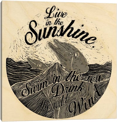 Live In The Sunshine Canvas Art Print - Our Animal Friends