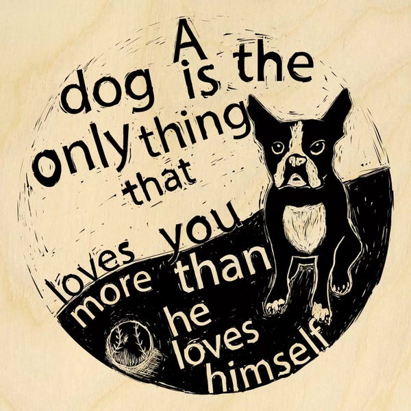 Pet Adoption & Fostering: Loves You More by 5by5collective