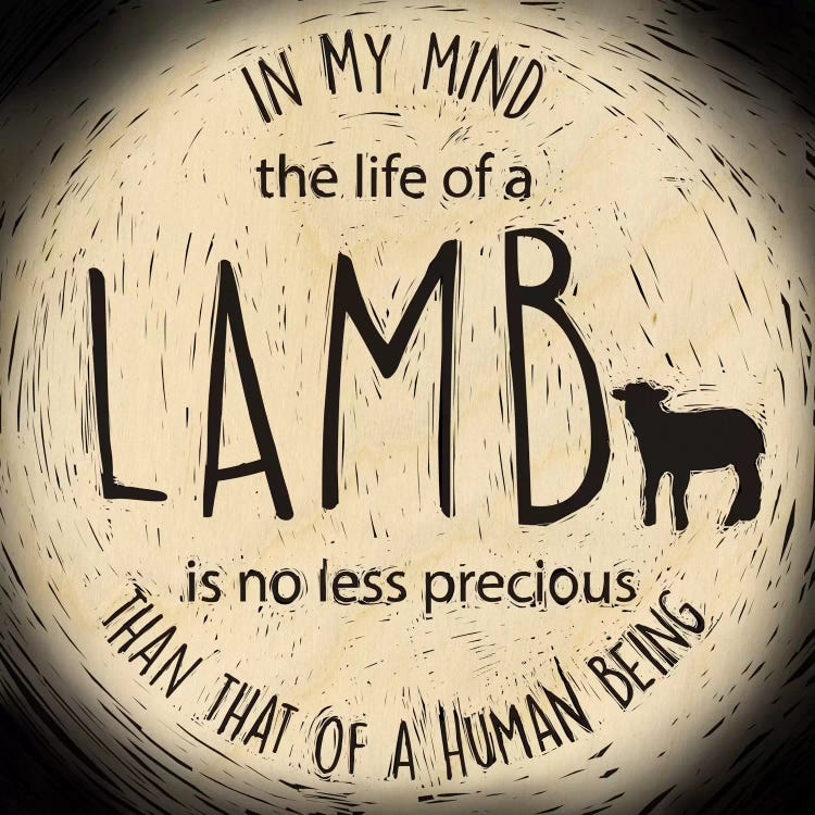 The Life Of A Lamb