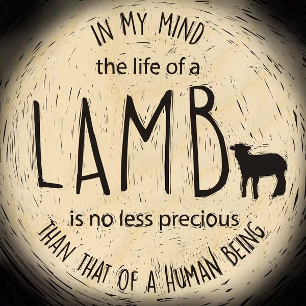 Animal Rights: The Life Of A Lamb by 5by5collective