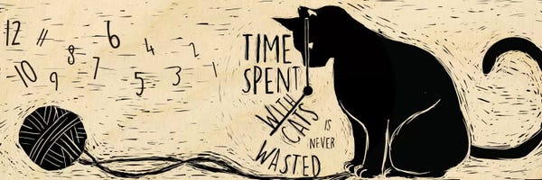 Black Cats: Time Spent with Cats by 5by5collective