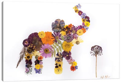 Elephant - Eli Canvas Art Print - Oxeye Floral Co