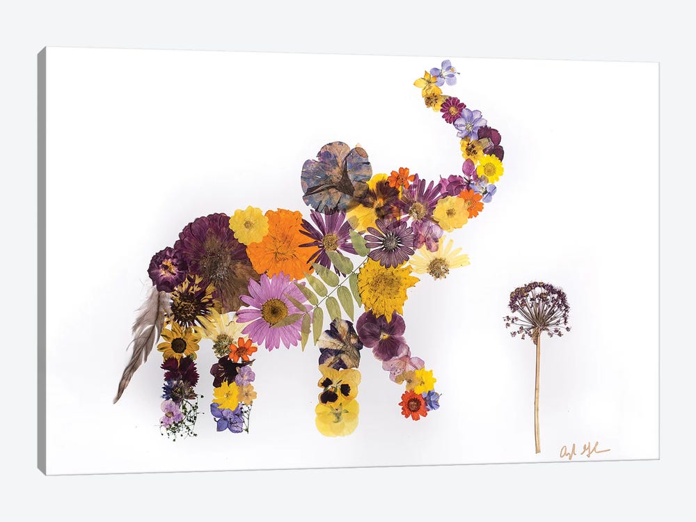 Elephant - Eli by Oxeye Floral Co 1-piece Canvas Print