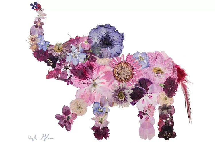 Elephant-Evelyn by Oxeye Floral Co wall art