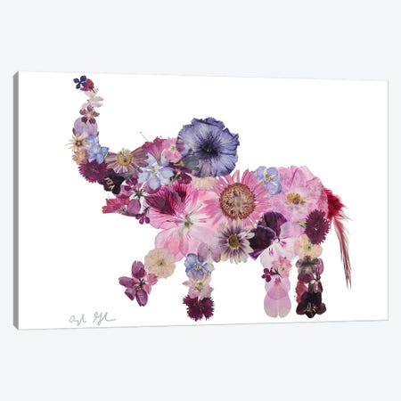 Elephant-Evelyn Canvas Print #OFC11} by Oxeye Floral Co Canvas Wall Art
