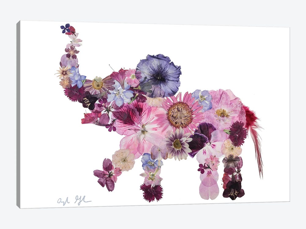 Elephant-Evelyn by Oxeye Floral Co 1-piece Canvas Artwork