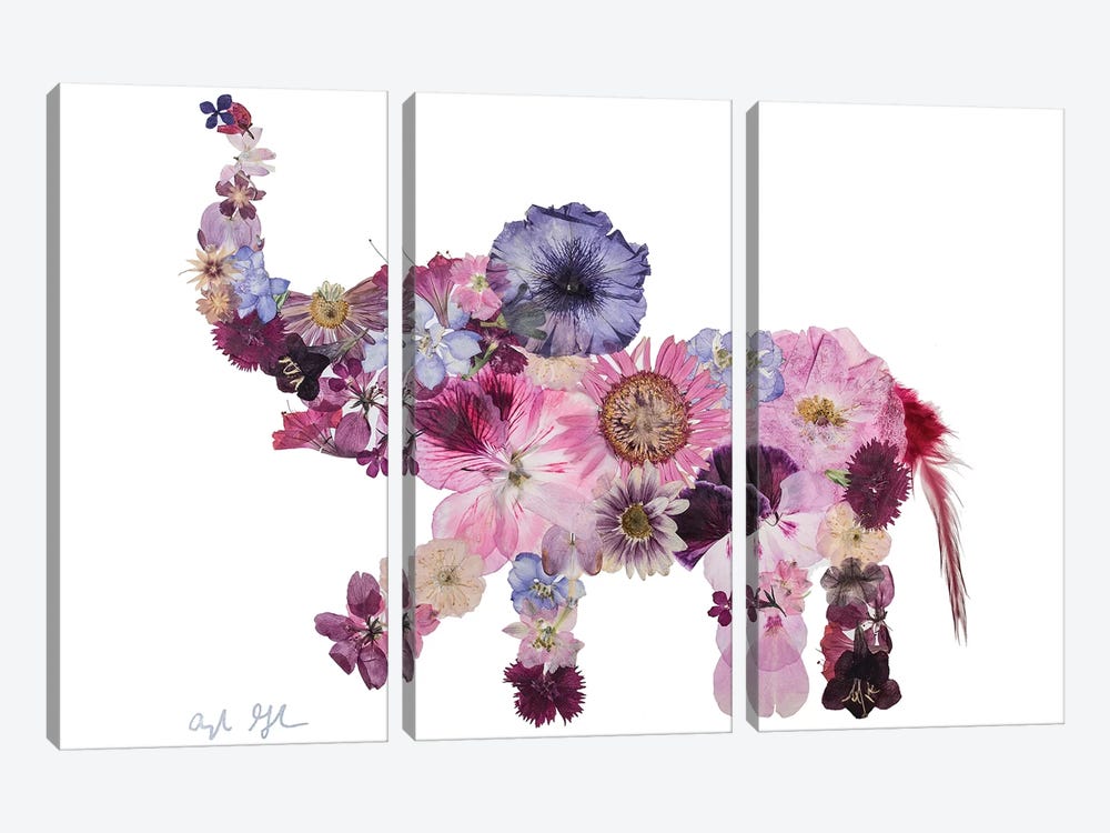 Elephant-Evelyn by Oxeye Floral Co 3-piece Canvas Artwork