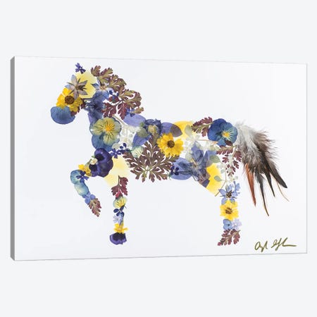Horse - Blue And Yellow Canvas Print #OFC14} by Oxeye Floral Co Art Print