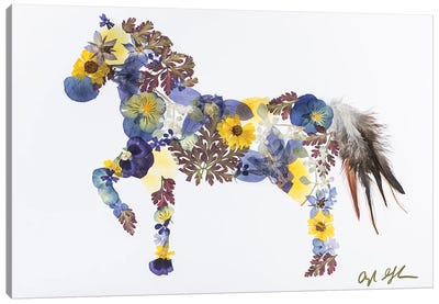 Horse - Blue And Yellow Canvas Art Print - Oxeye Floral Co