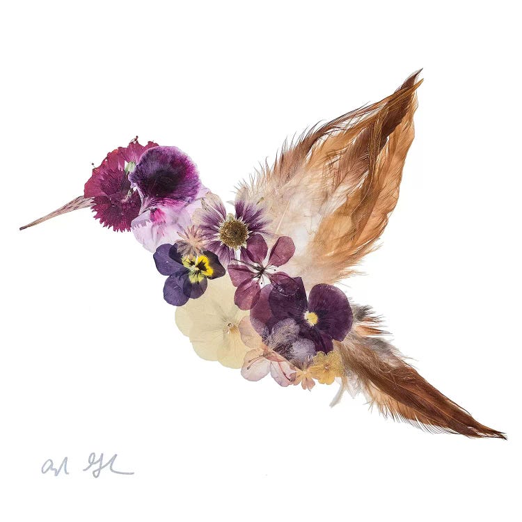 Hummingbird by Oxeye Floral Co wall art