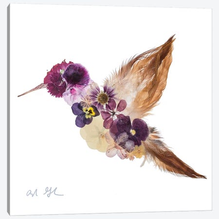 Hummingbird Canvas Print #OFC15} by Oxeye Floral Co Art Print