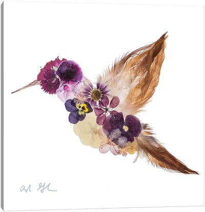 Hummingbird Canvas Art Print - Oxeye Floral Co