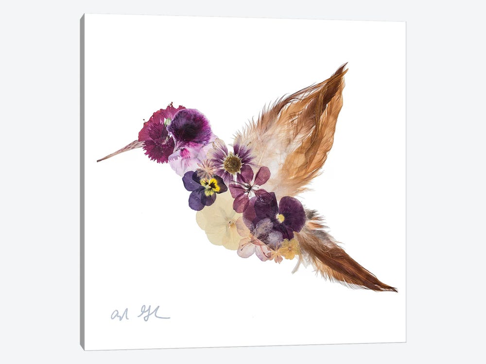 Hummingbird by Oxeye Floral Co 1-piece Canvas Artwork