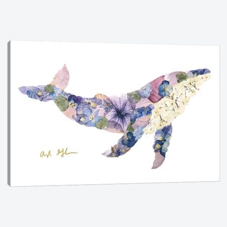 Humpback Whale Canvas Print #OFC16} by Oxeye Floral Co Canvas Print