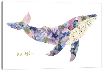Humpback Whale Canvas Art Print - Oxeye Floral Co
