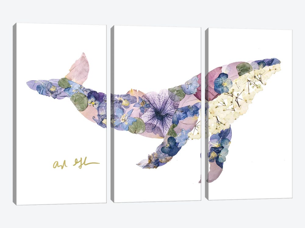 Humpback Whale by Oxeye Floral Co 3-piece Canvas Print