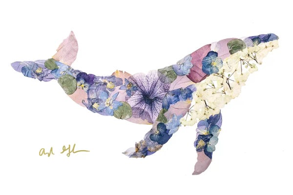Kids Ocean Life Art: Humpback Whale by Oxeye Floral Co