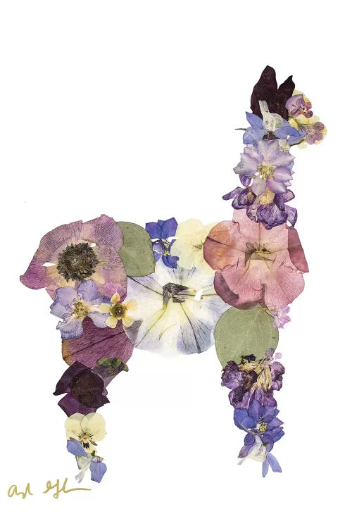 Llama by Oxeye Floral Co wall art