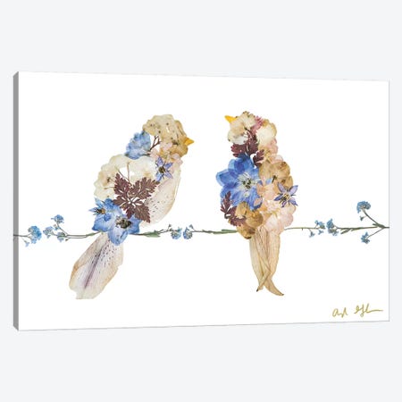 Lovebirds Canvas Print #OFC18} by Oxeye Floral Co Canvas Art