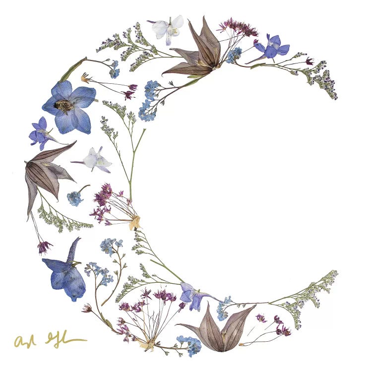 Moon by Oxeye Floral Co wall art