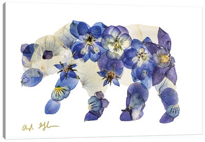 Bear I Canvas Art Print - Oxeye Floral Co
