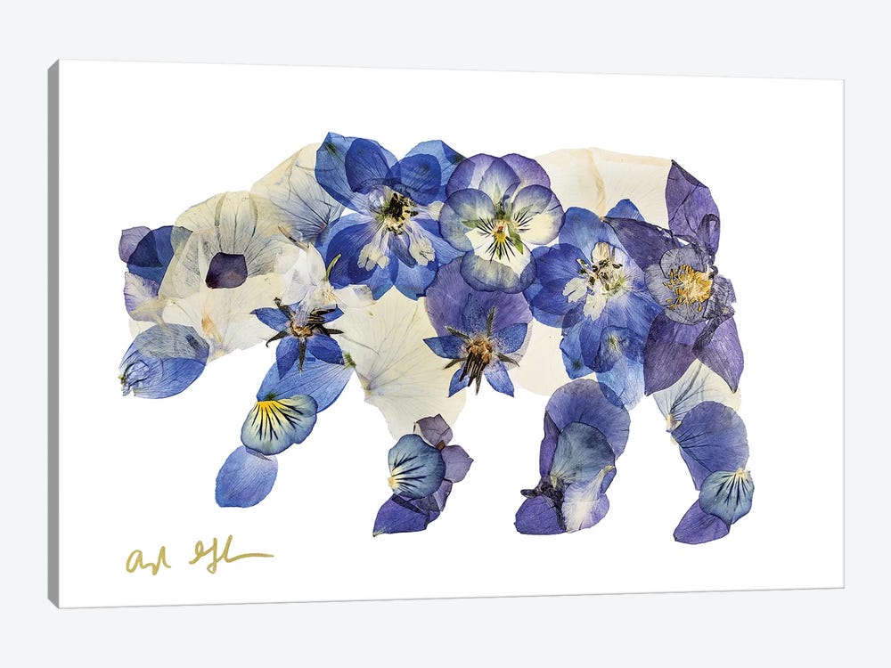 Bear I by Oxeye Floral Co 1-piece Canvas Wall Art