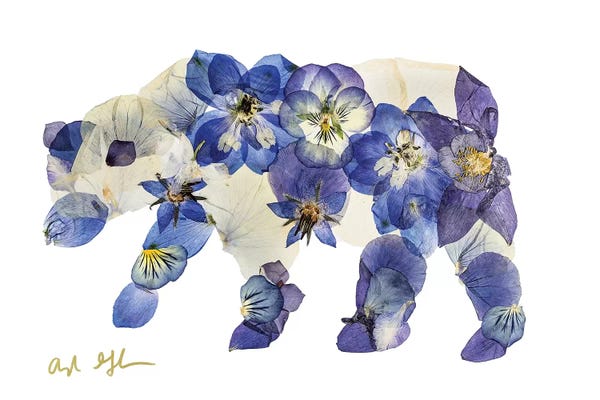 Oxeye Floral Co: Bear I by Oxeye Floral Co