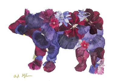 Bear II by Oxeye Floral Co art print