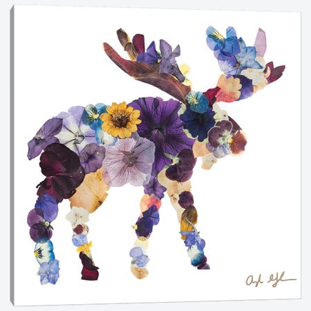 Moose Canvas Print #OFC20} by Oxeye Floral Co Canvas Art Print