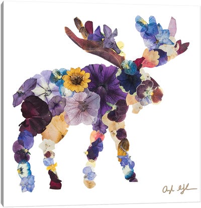 Moose Canvas Art Print - Oxeye Floral Co