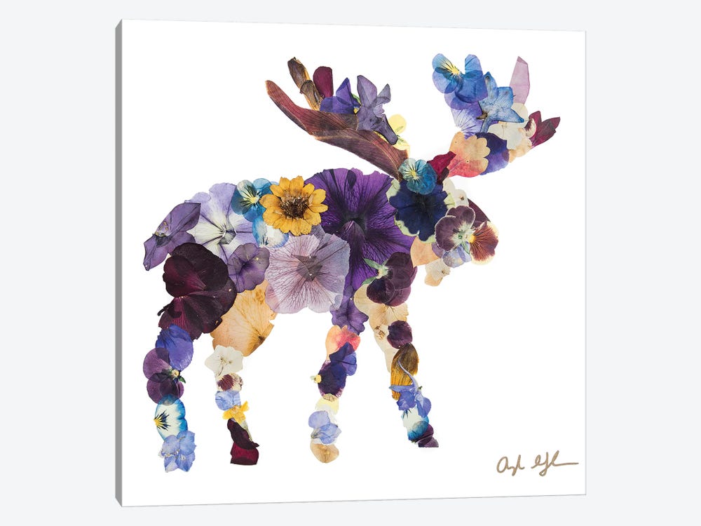 Moose by Oxeye Floral Co 1-piece Canvas Wall Art