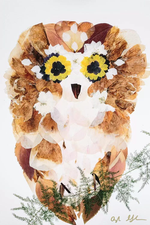 Owl - Fluff by Oxeye Floral Co wall art