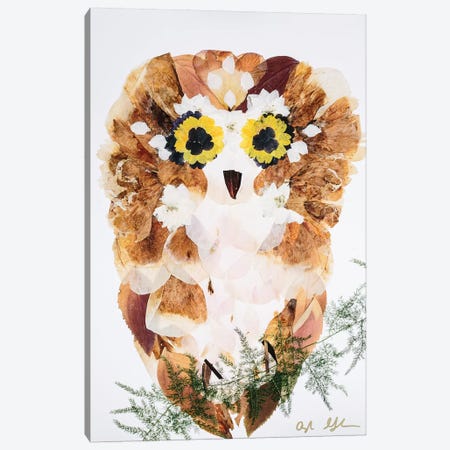 Owl - Fluff Canvas Print #OFC21} by Oxeye Floral Co Canvas Art Print