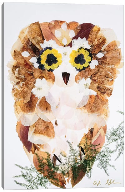 Owl - Fluff Canvas Art Print - Oxeye Floral Co