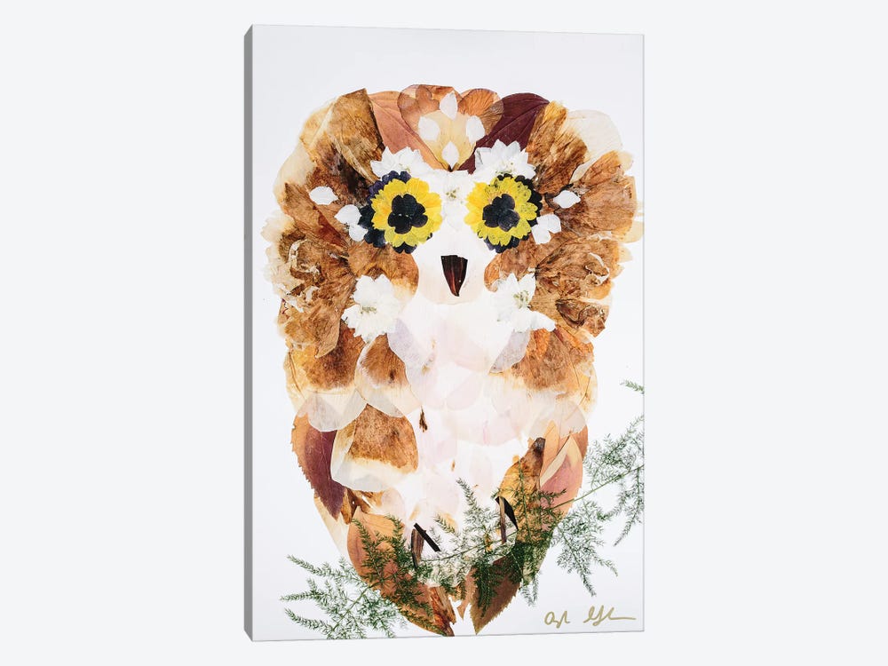 Owl - Fluff by Oxeye Floral Co 1-piece Canvas Art Print