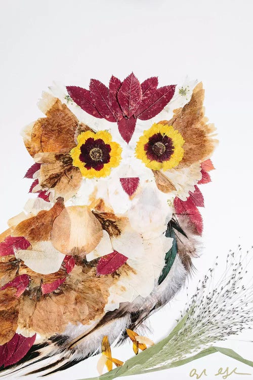 Owl - Reds by Oxeye Floral Co wall art