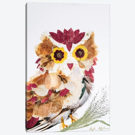 Owl - Reds Canvas Print #OFC22} by Oxeye Floral Co Canvas Print